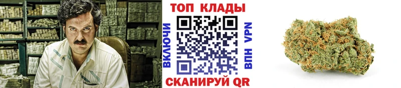 Где купить наркоту Воронеж Кокаин  NBOMe  АМФ  Alpha PVP  ГАШИШ  МЕФ  Канабис 