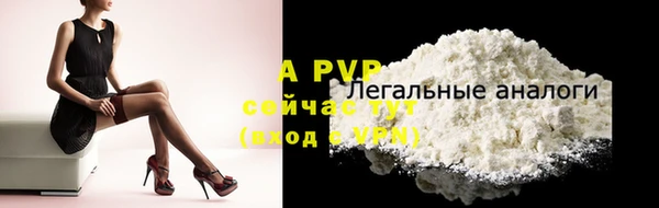 дживик Тавда