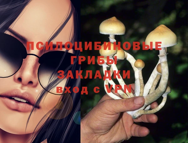амф Сясьстрой