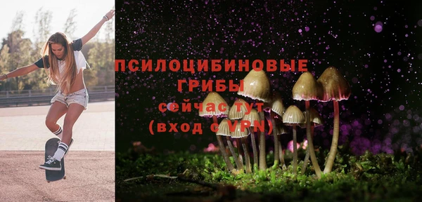 метамфетамин Майский