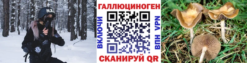купить  цена  Воронеж  Псилоцибиновые грибы MAGIC MUSHROOMS 